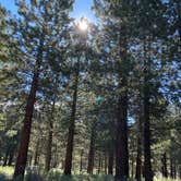 Review photo of Big Springs Campground by Jules D., July 8, 2026