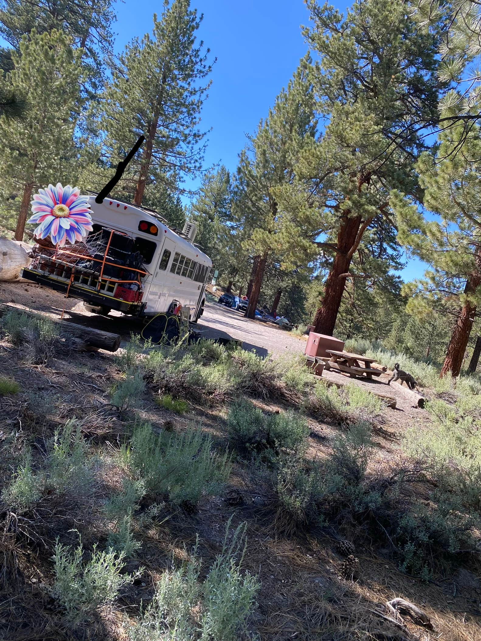 Camping near Inyo National Forest Dispersed Camping: Big Springs Campground, Inyo National Forest, California