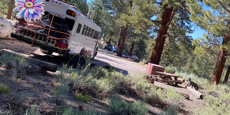 Camper submitted image from Big Springs Campground