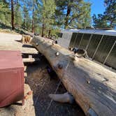 Review photo of Big Springs Campground by Jules D., July 8, 2026