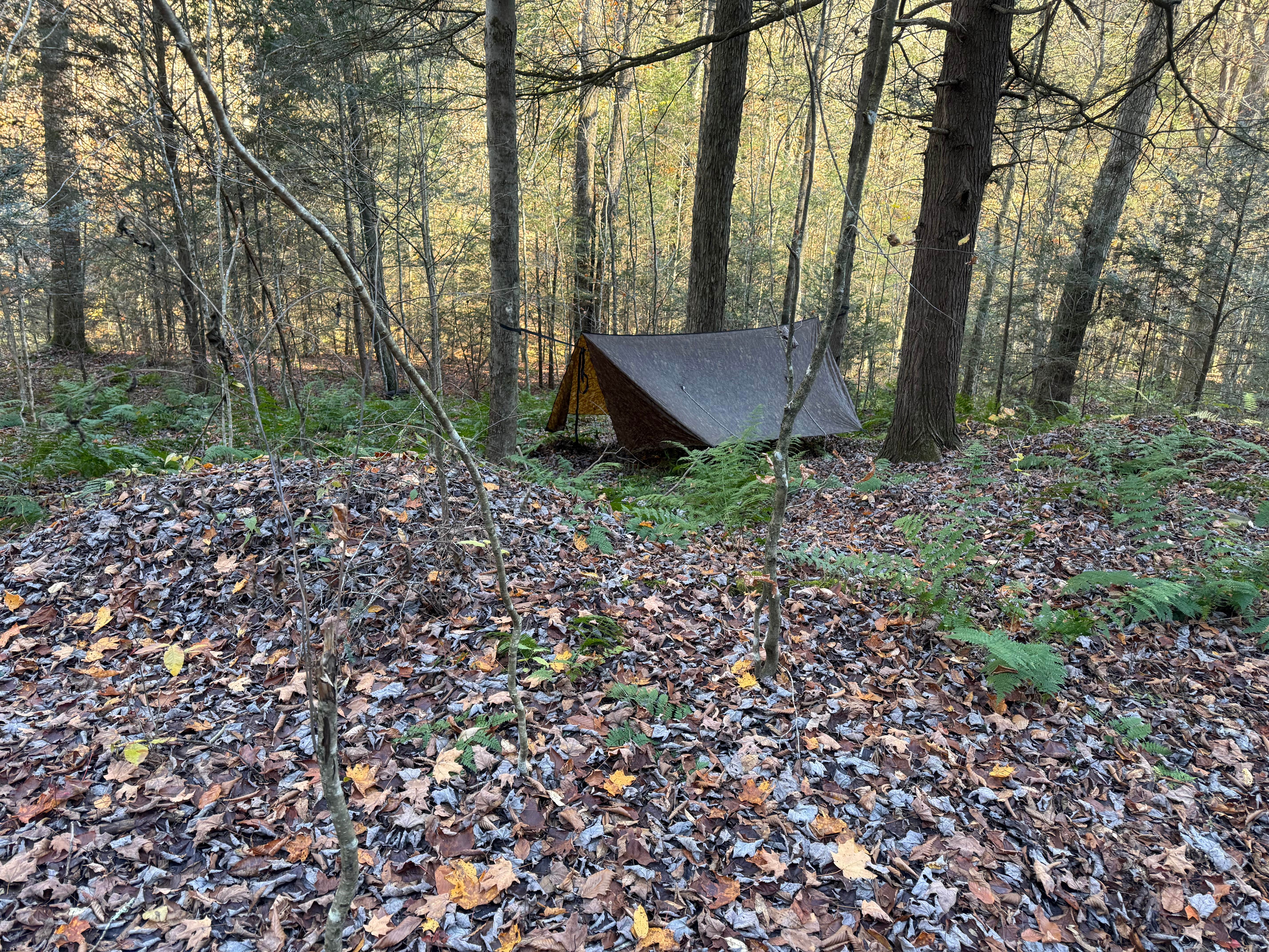 Camping near Lebo Road Site — Tiadaghton State Forest: Big Springs Rd Site — Susquehannock State Forest, Slate Run, Pennsylvania