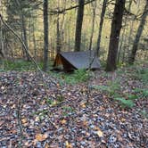 Review photo of Big Springs Rd Site — Susquehannock State Forest by james H., November 4, 2025