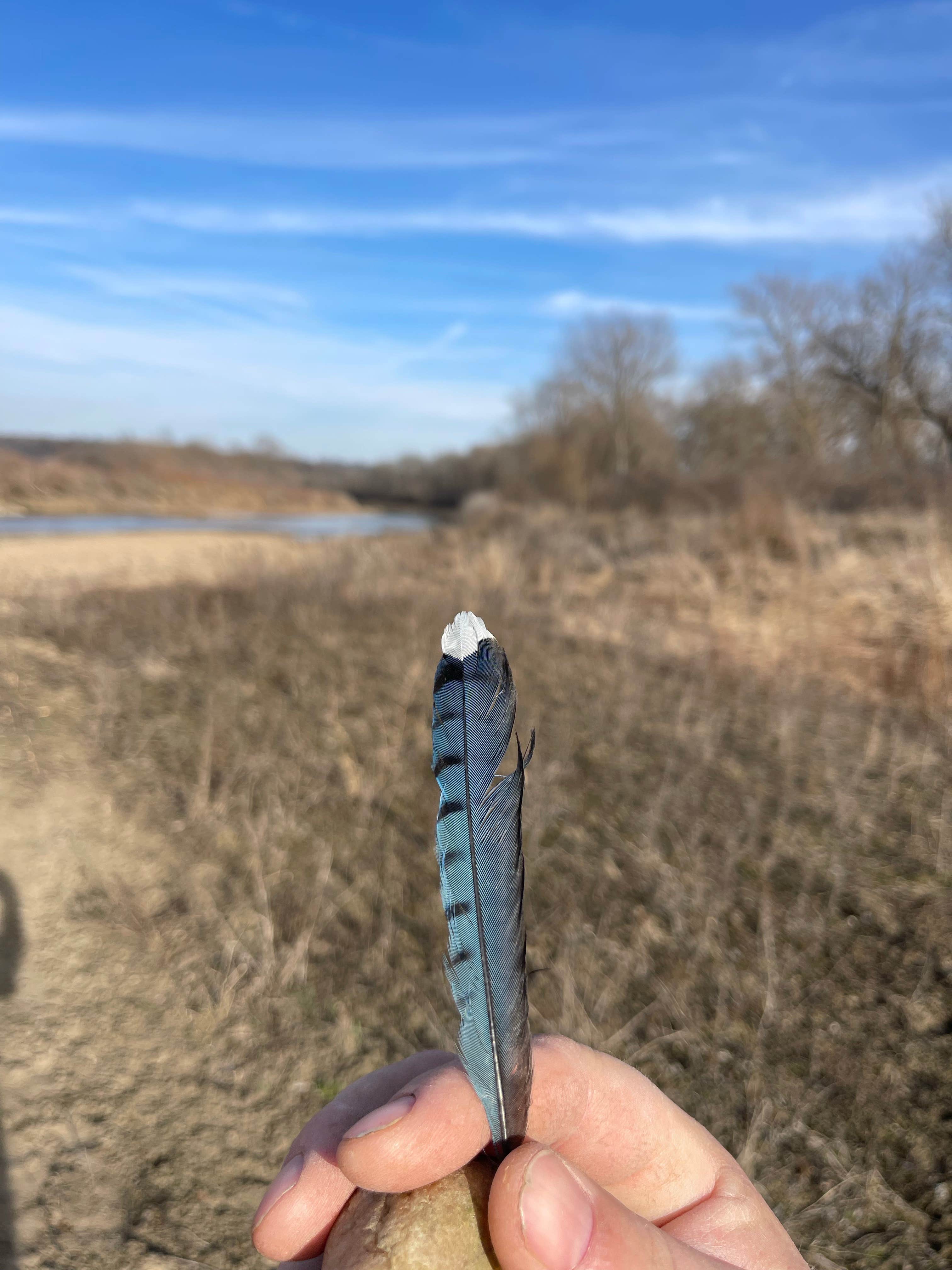 Camper-submitted photo at Big Springs Trout Hatchery Campground near Elkader, IA