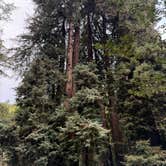 Review photo of Big Sur Campground & Cabins by David W., October 15, 2025