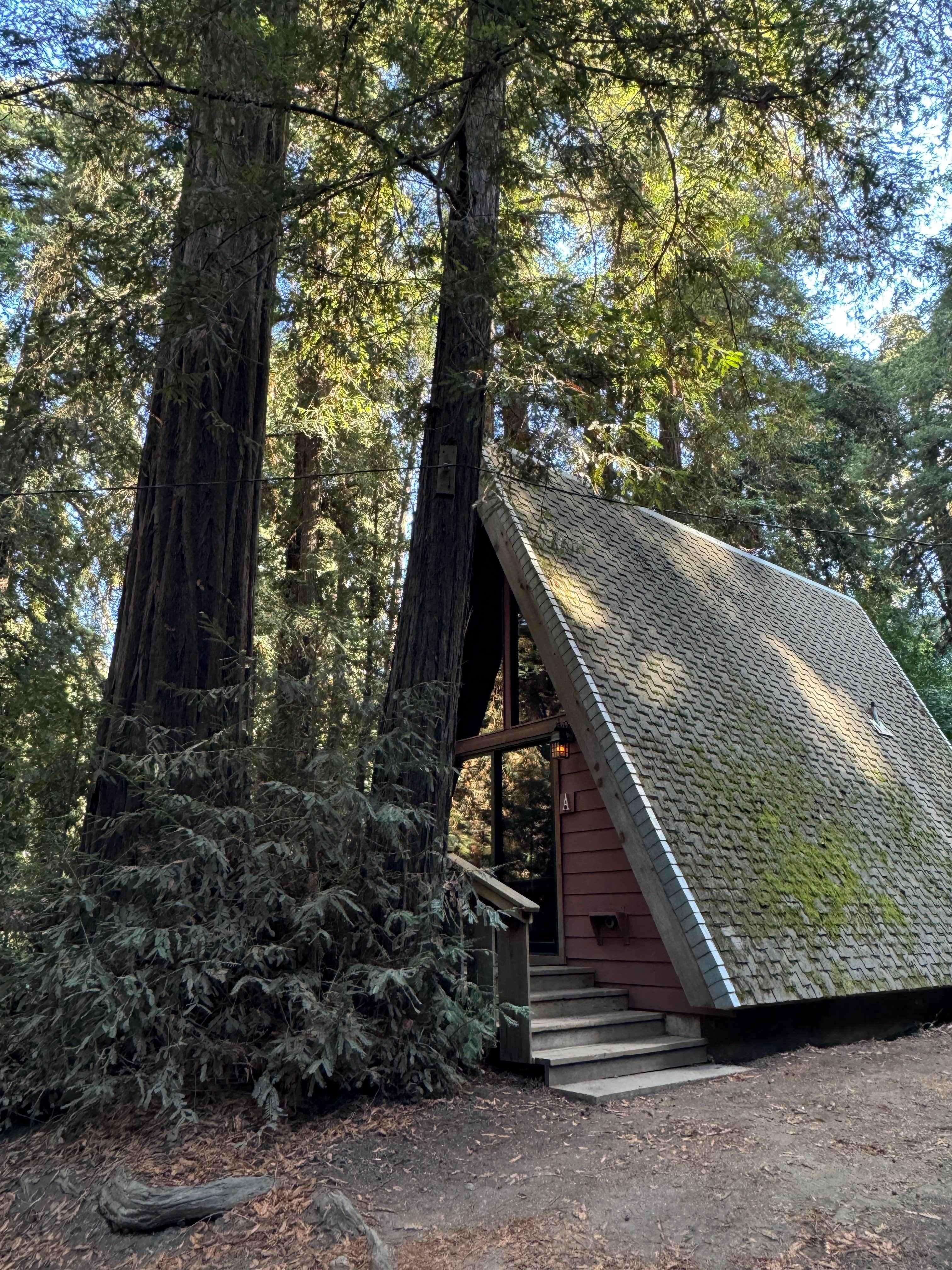 Jake R.'s photo of a cabin at Big Sur Campground & Cabins near Salinas, CA