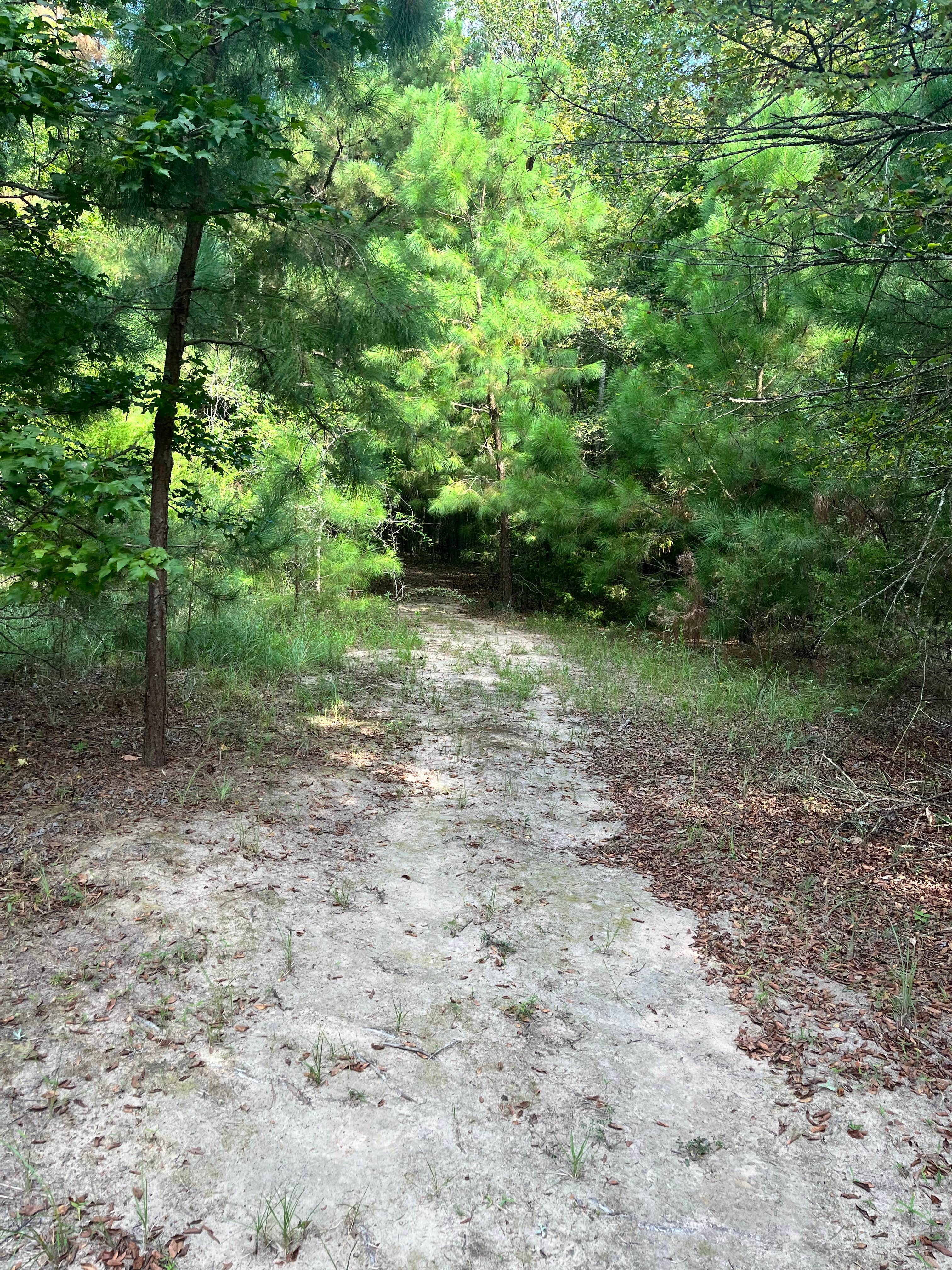 Camper submitted image from Big Tex Campgrounds - 4