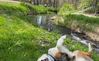 Kathy D.'s photo of camping with pets at Big Timber-Greycliff KOA near Melville, MT