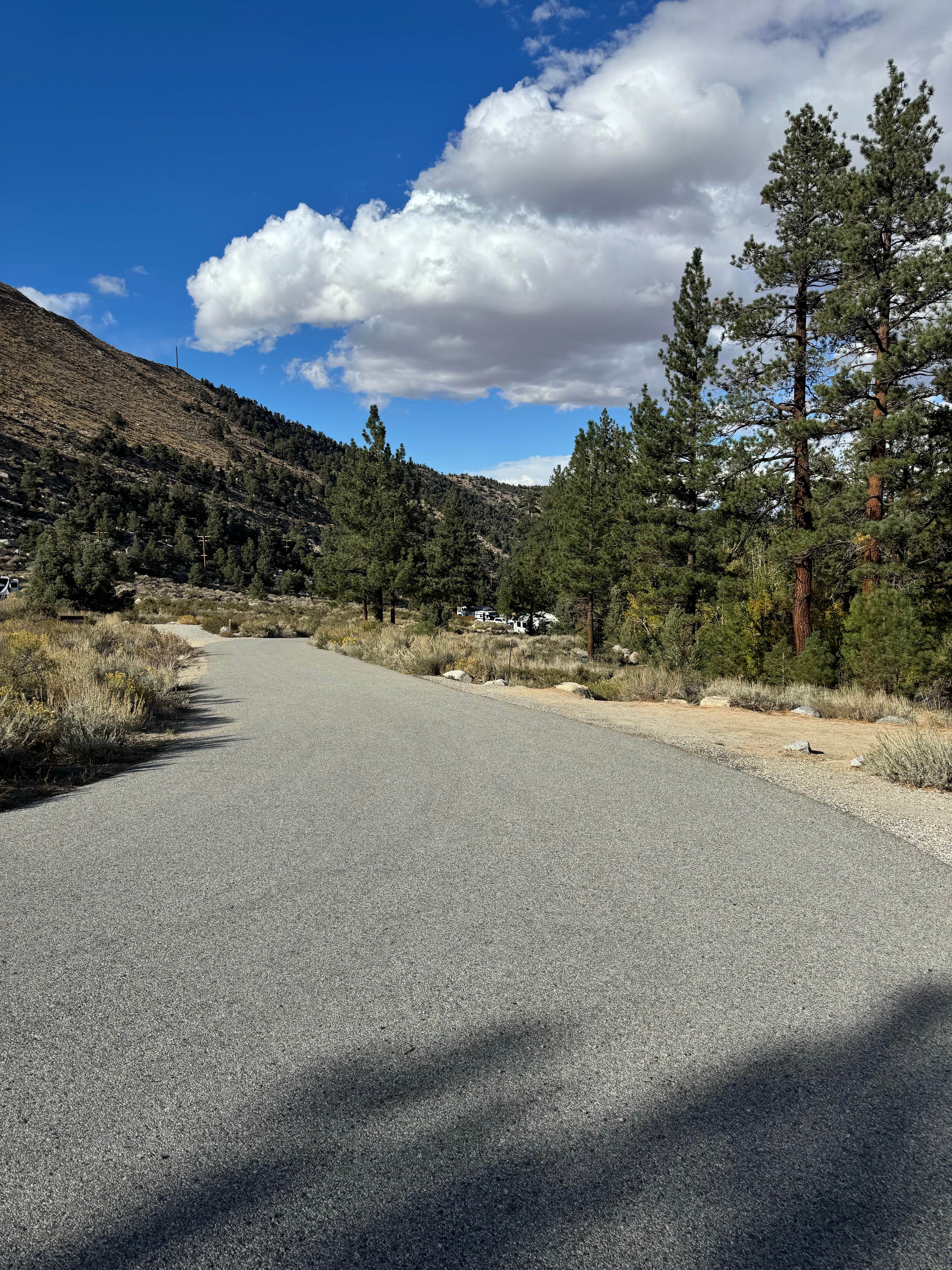 Camper-submitted photo at Big Trees Campground near Swall Meadows, CA