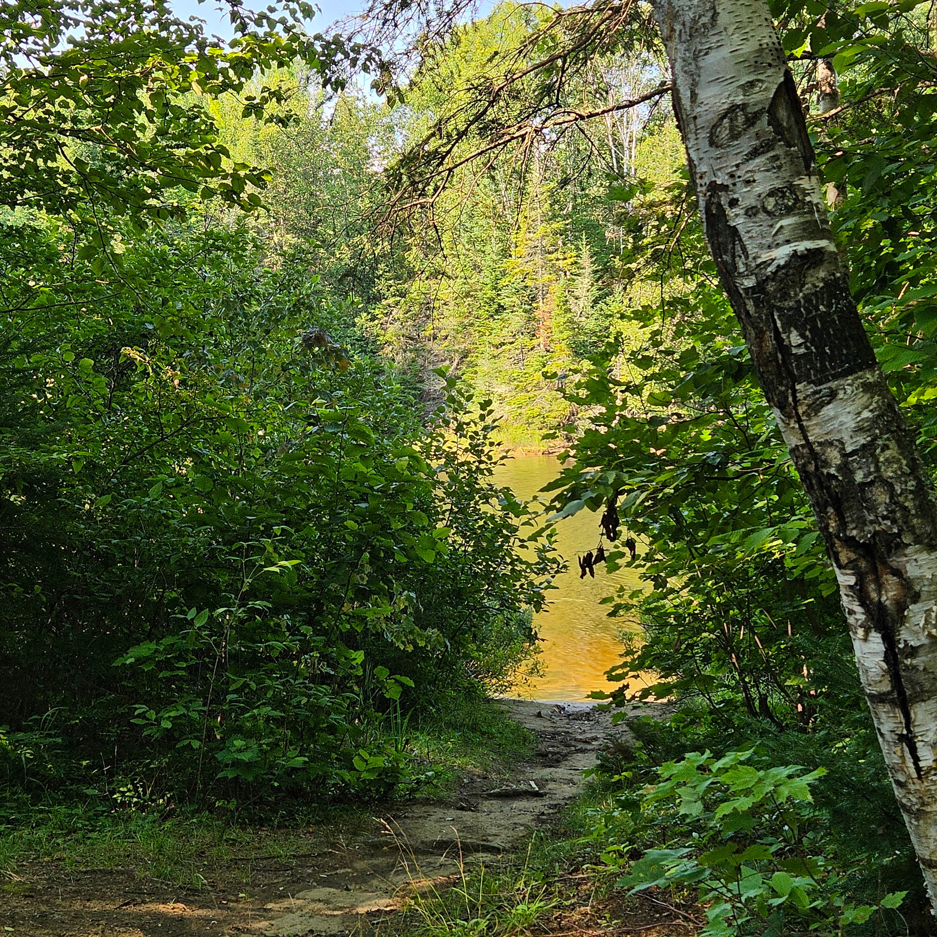 Camper-submitted photo at Bigelow Col Campsite — Bigelow Ecological Reserve near Madison, ME