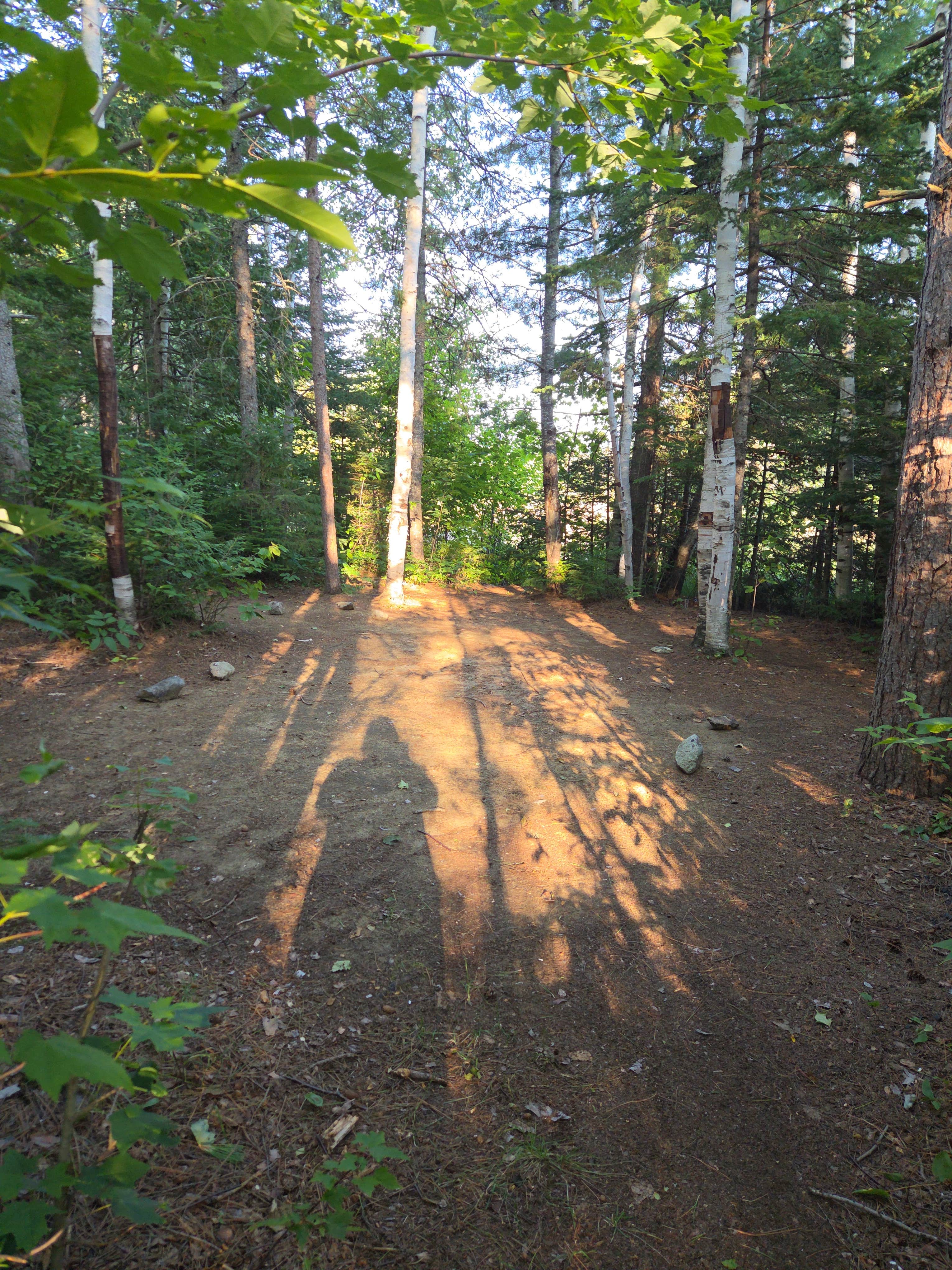 Camper-submitted photo at Bigelow Col Campsite — Bigelow Ecological Reserve near Madison, ME
