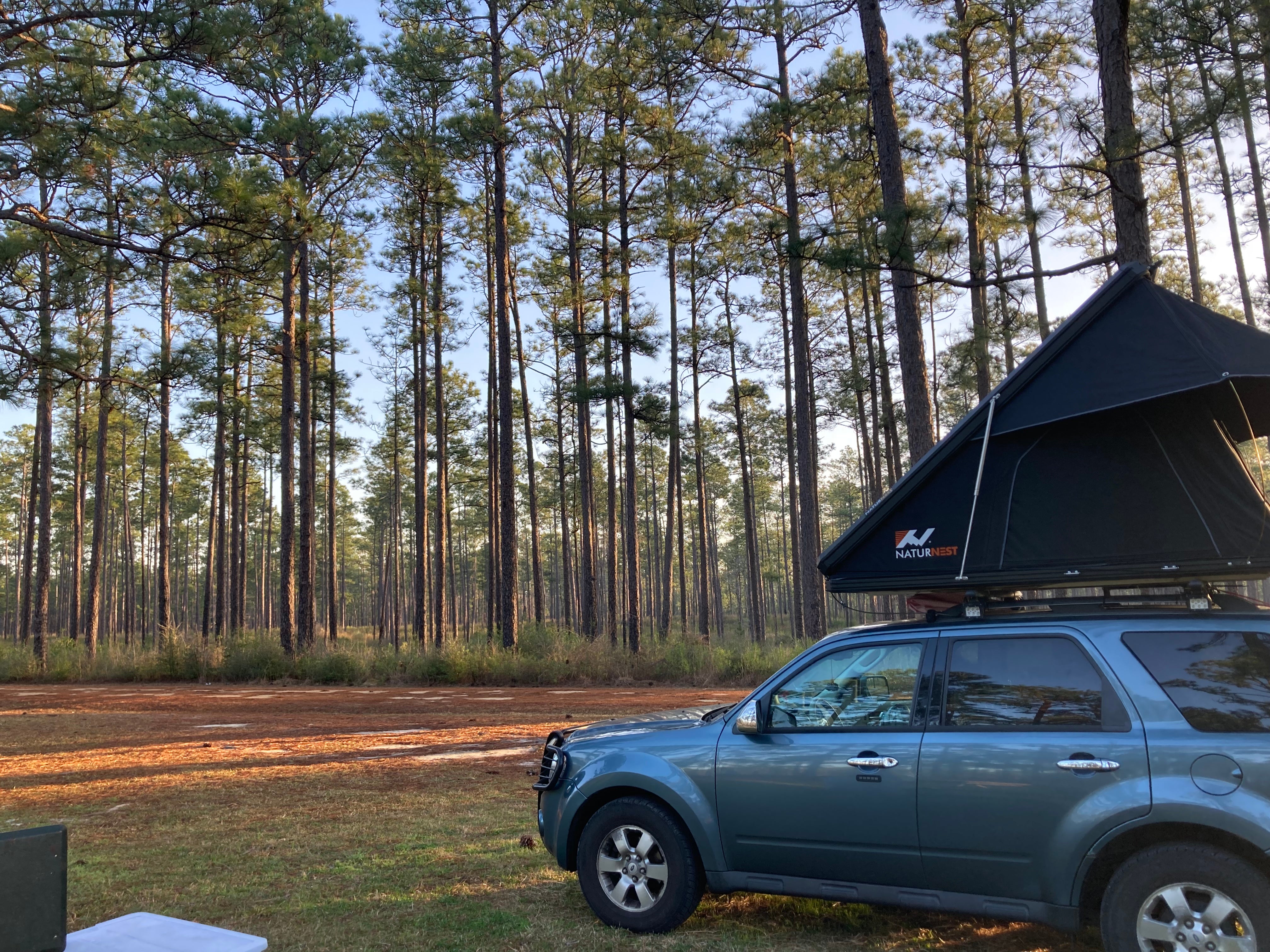 Camper submitted image from Big Foot Horse Trail and Camp -USFS - 2