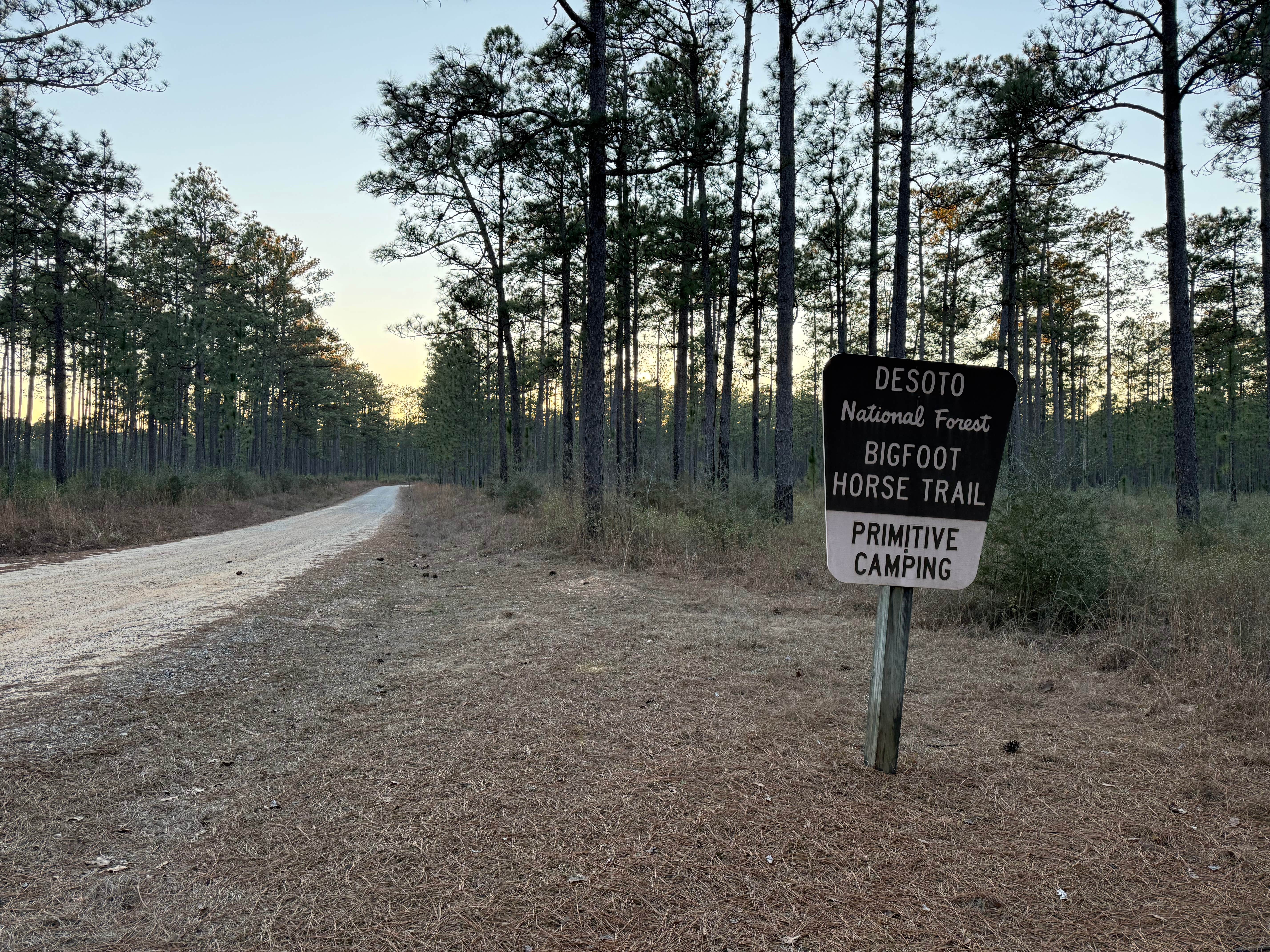 Camper-submitted photo at Big Foot Horse Trail and Camp -USFS near De Soto National Forest