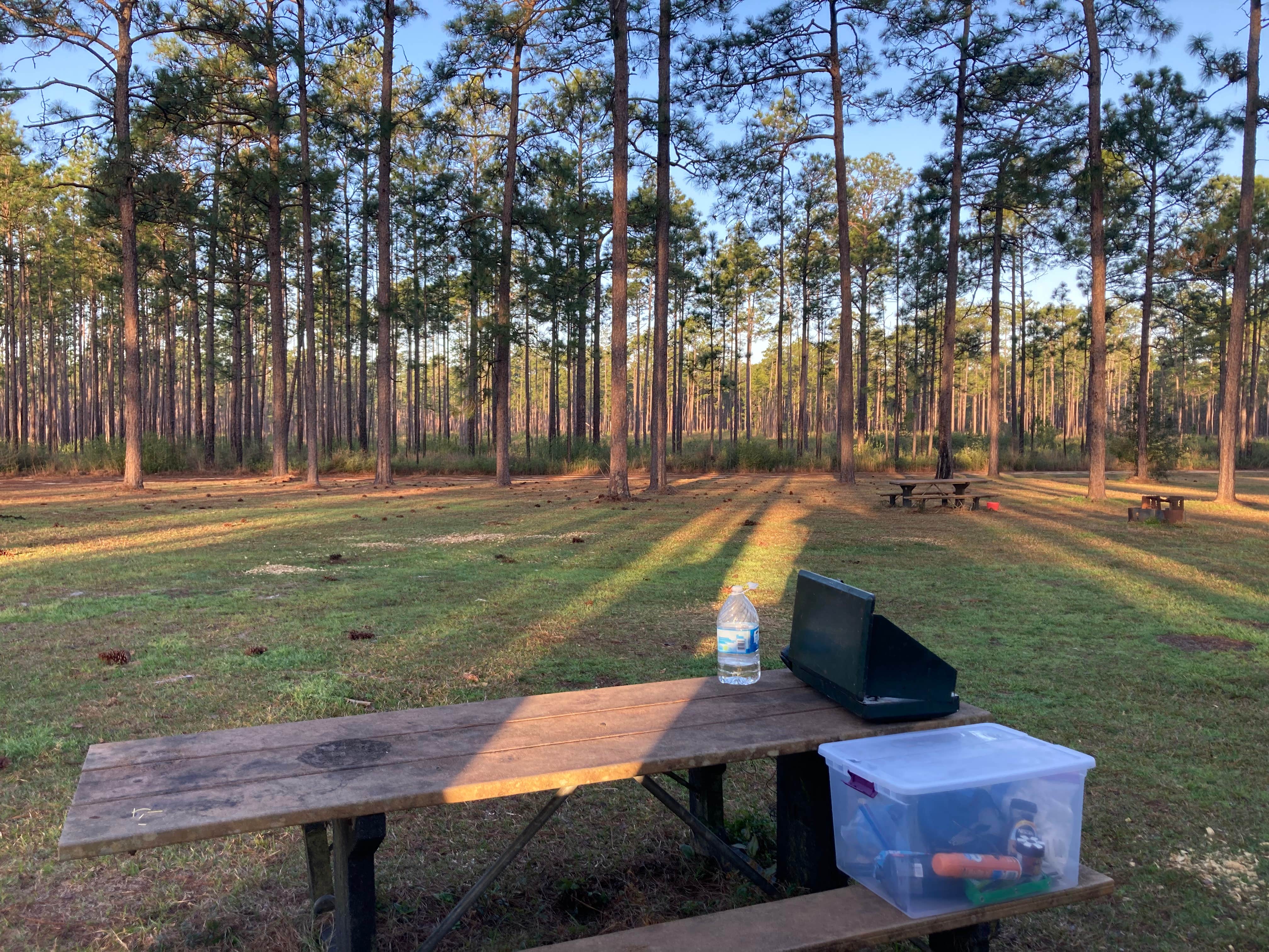 Camper-submitted photo at Big Foot Horse Trail and Camp -USFS near Wiggins, MS