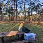 Review photo of Big Foot Horse Trail and Camp -USFS by Sam O., February 24, 2024