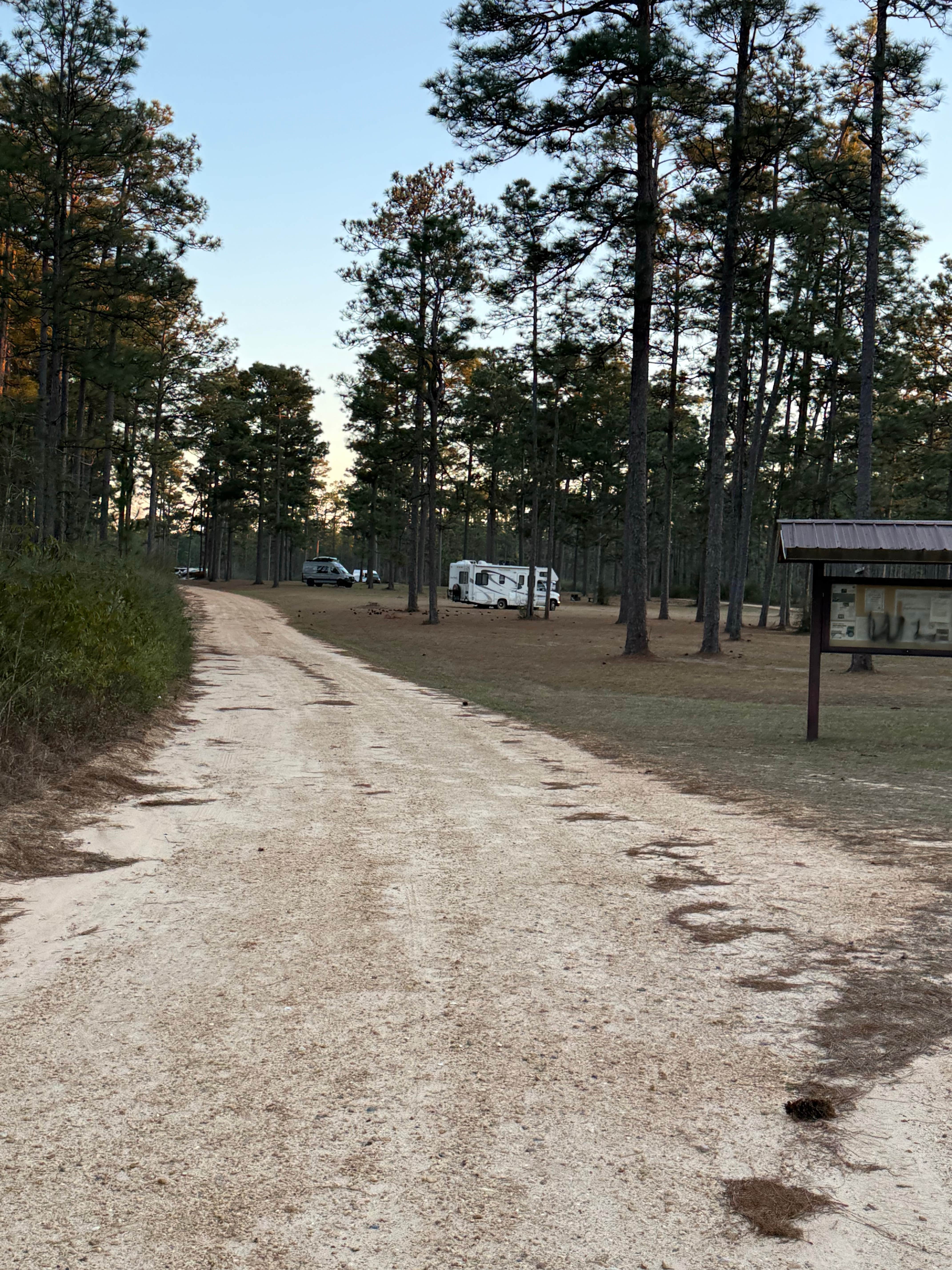 Camper-submitted photo at Big Foot Horse Trail and Camp -USFS near De Soto National Forest