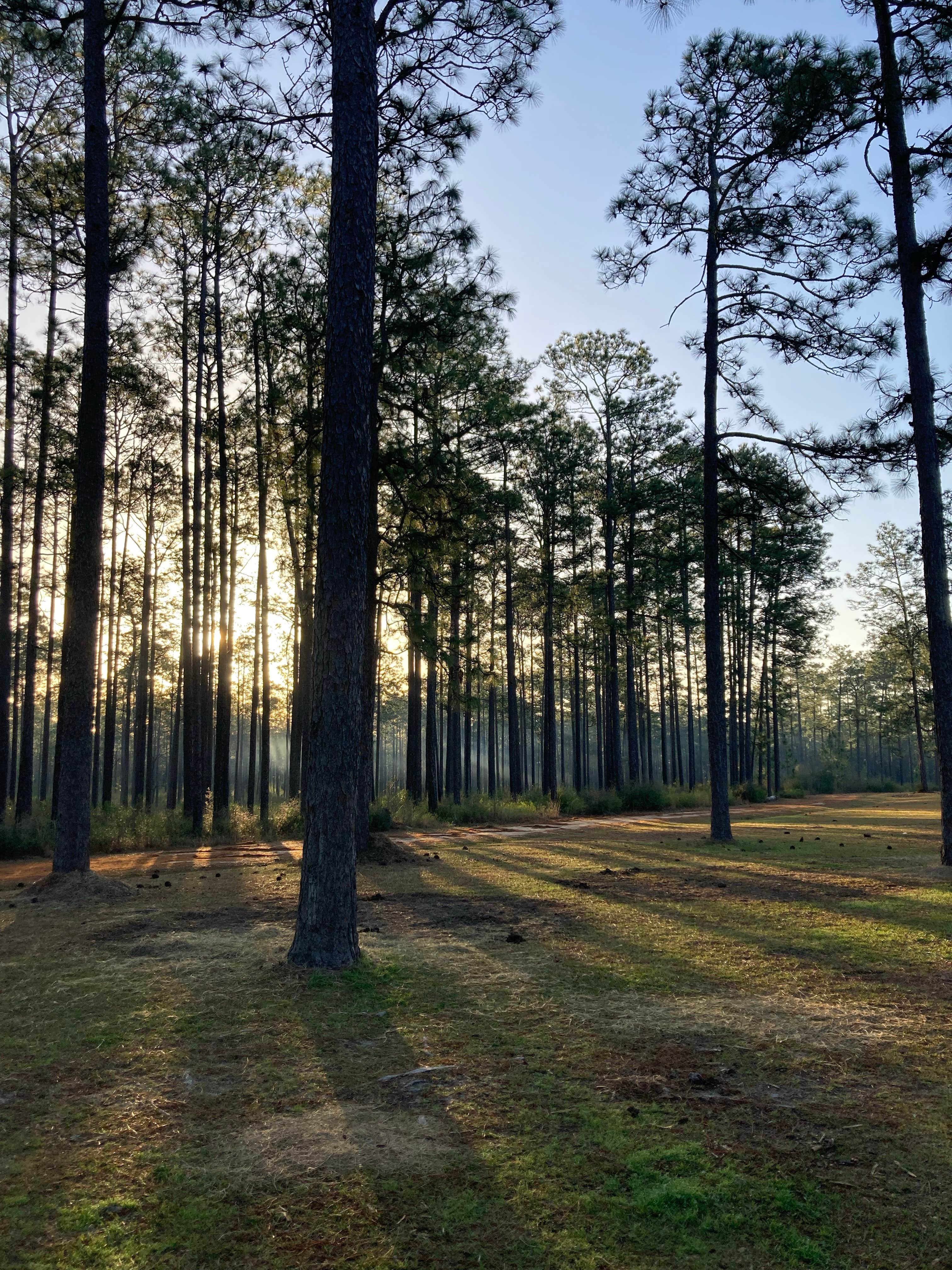 Camper submitted image from Big Foot Horse Trail and Camp -USFS - 3