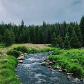 Review photo of Bighorn National Forest by CarrieIsWhere? P., October 18, 2024