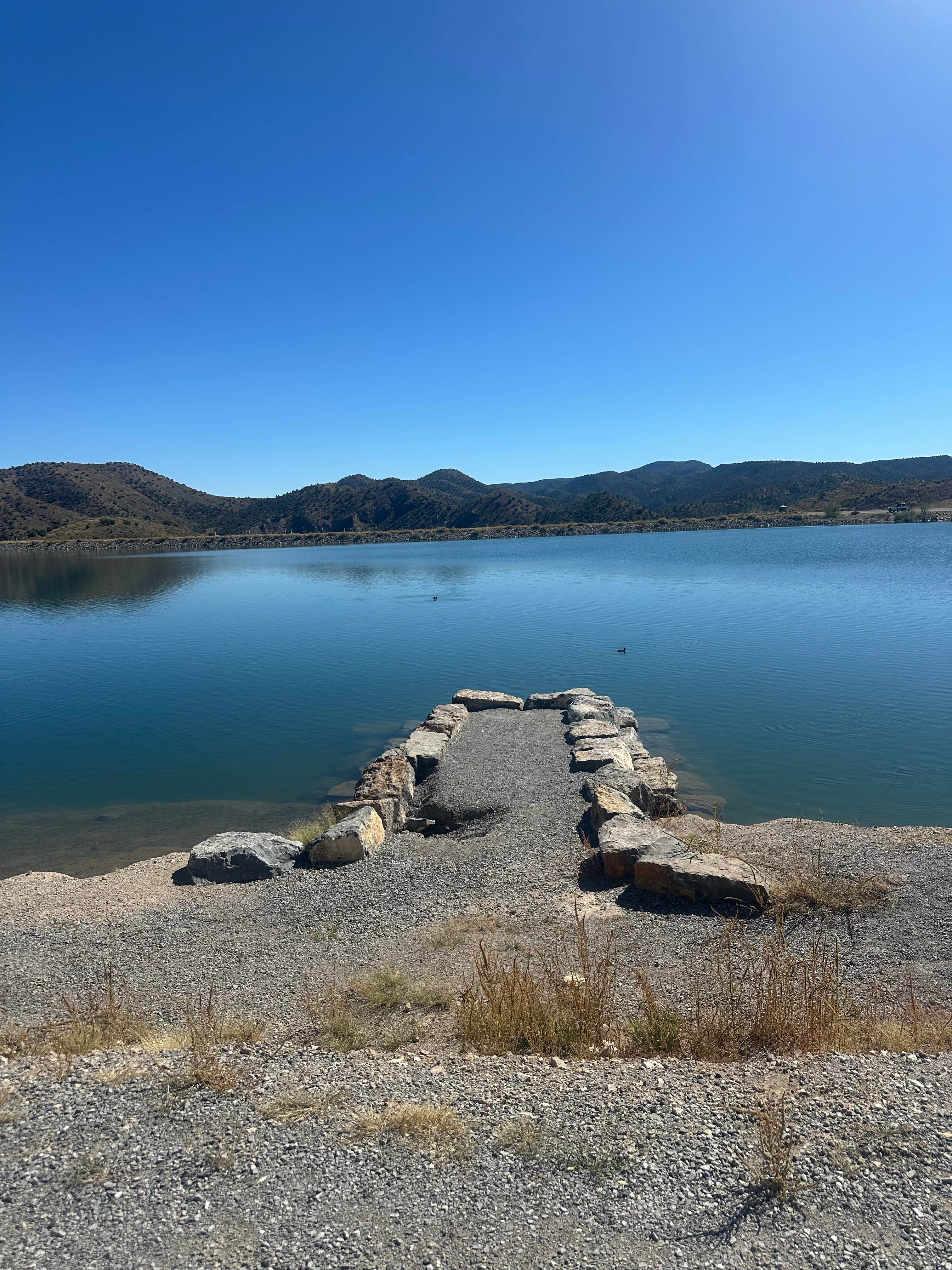 Camper-submitted photo at Bill Evans Lake near Cliff, NM