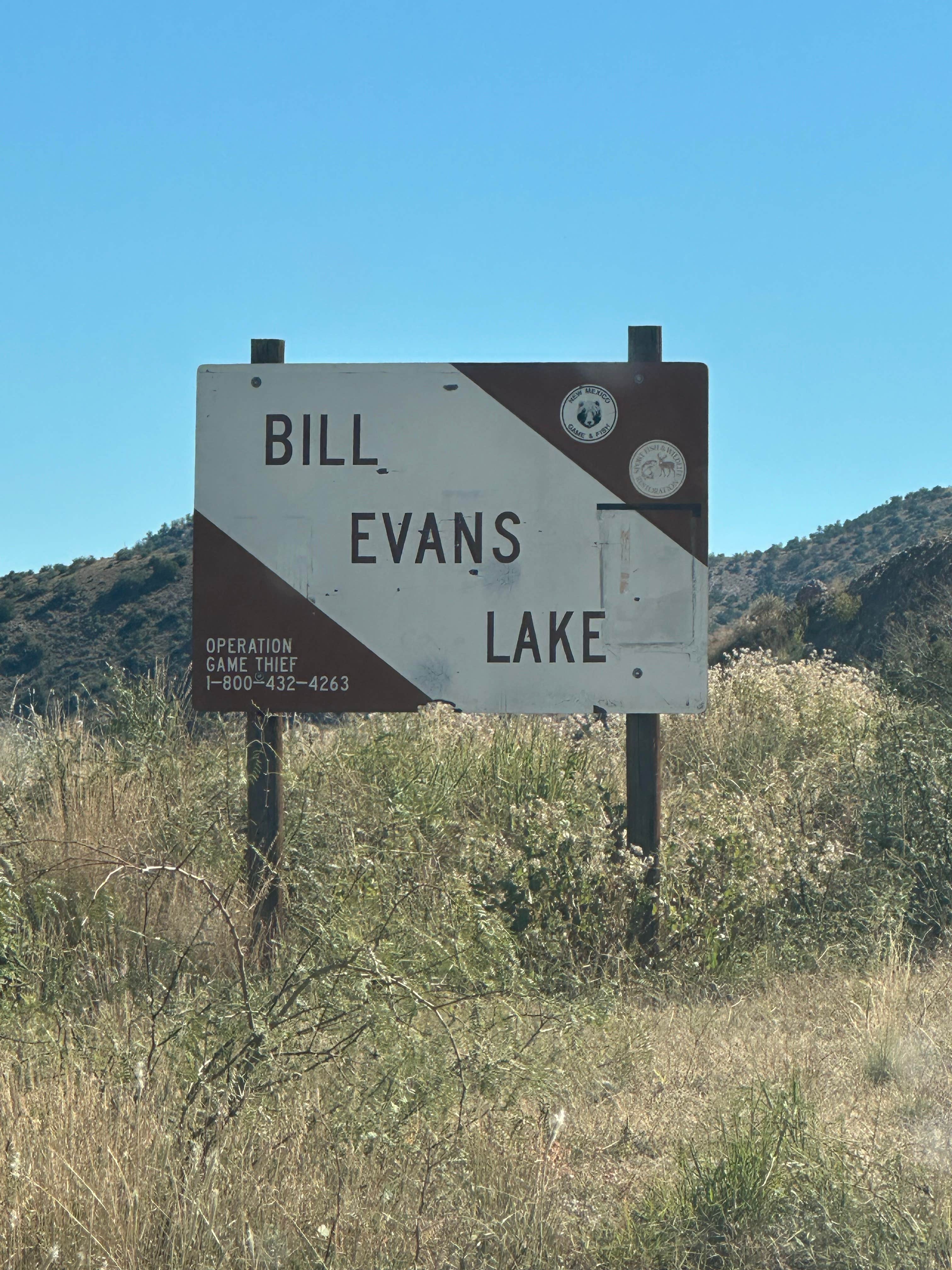 Camper-submitted photo at Bill Evans Lake near Cliff, NM