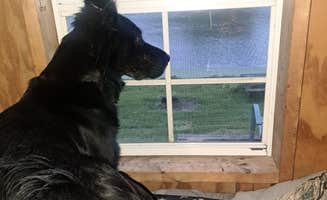 Penny W.'s photo of camping with pets at Quiet and Secluded near Transfer, PA