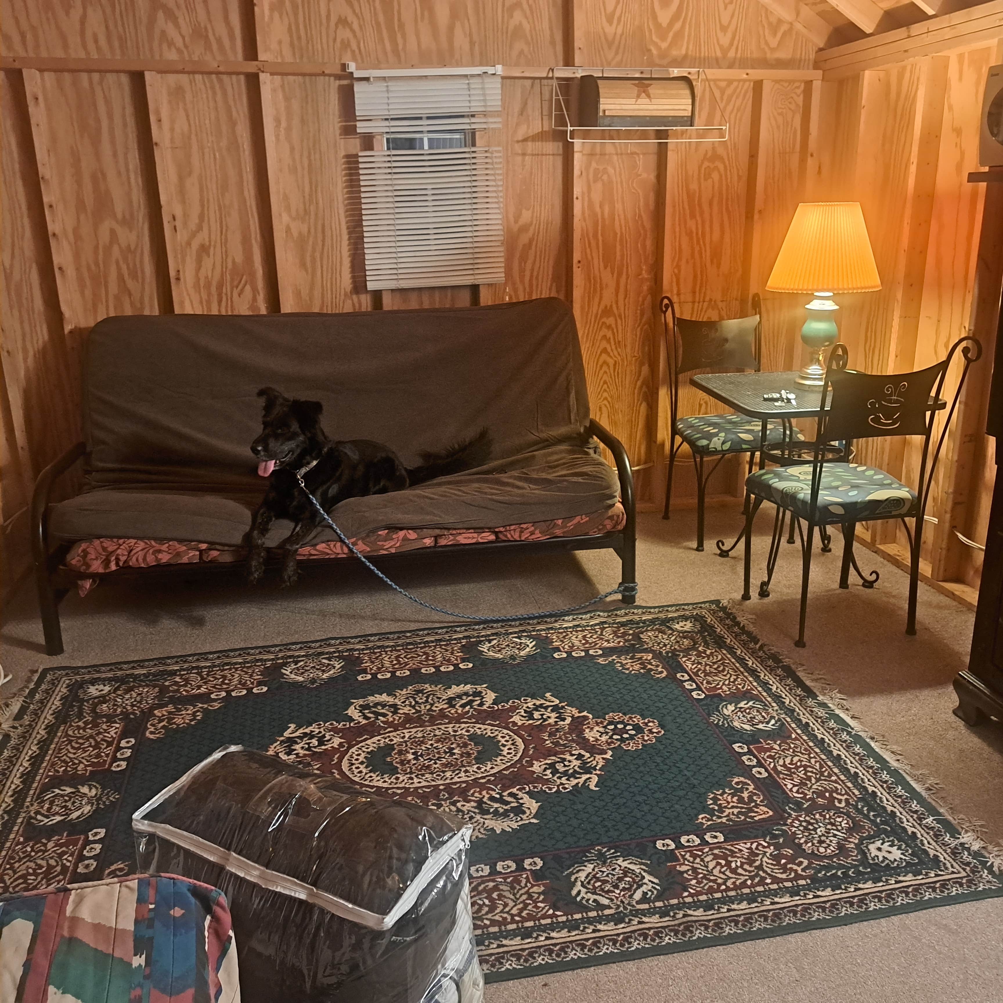 Penny W.'s photo of camping with pets at Quiet and Secluded near Zelienople, PA