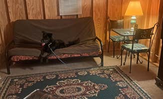 Penny W.'s photo of camping with pets at Quiet and Secluded near Transfer, PA