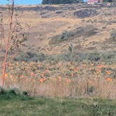 Review photo of Billingsley Creek Campground by Bob & Jenni B., October 17, 2026