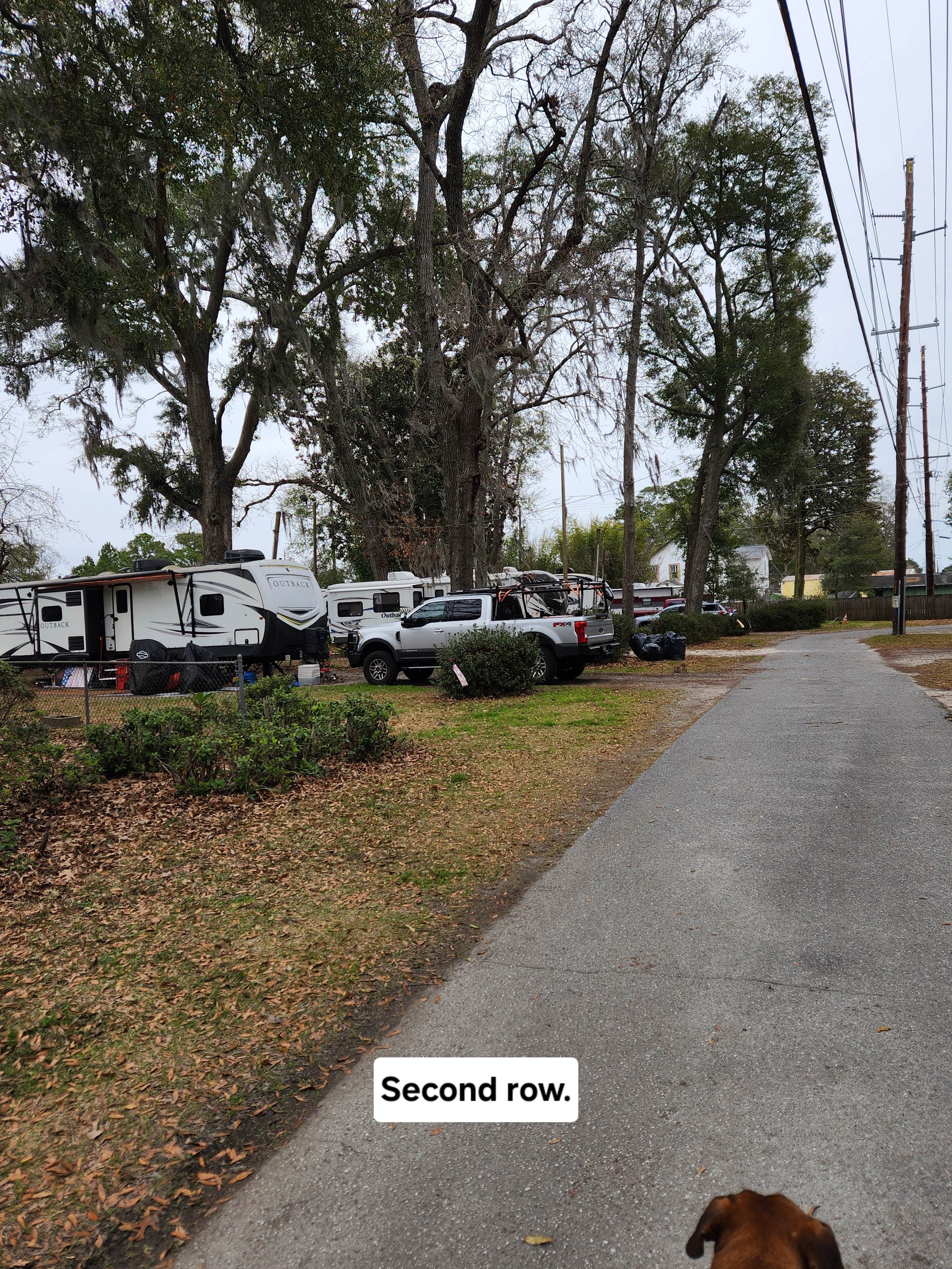 paul's photo of camping with pets at Biltmore RV Park near Hardeeville, SC