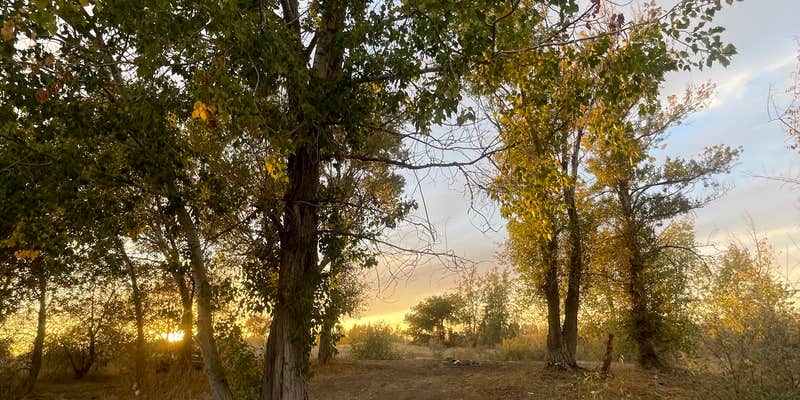 Camper submitted image from Bingham County Park Rose Campground