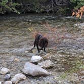 Review photo of Birch Creek Camp on Eight Mile Canyon Road by Nichole D., August 29, 2025