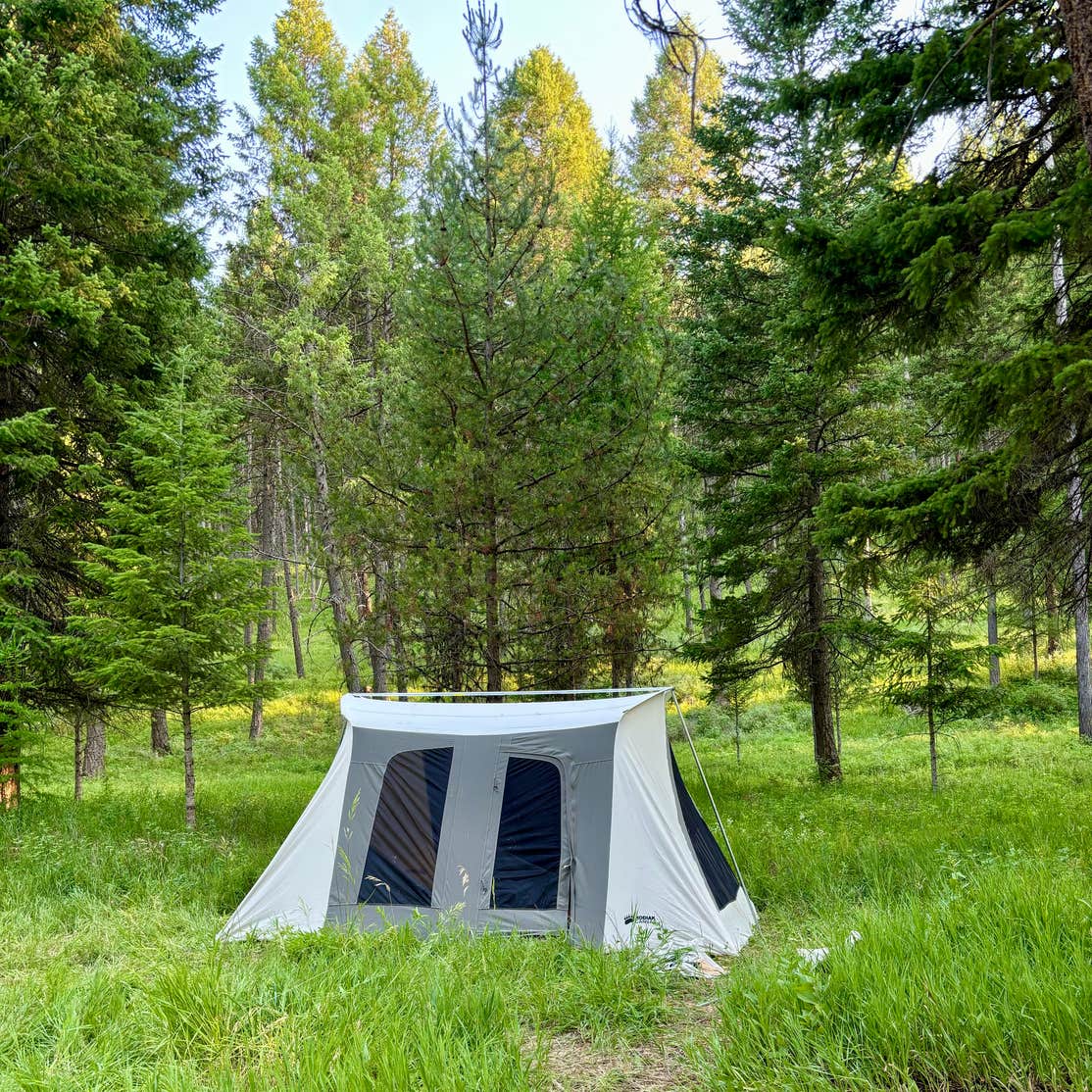 Bird Track Springs Campground | La Grande, OR