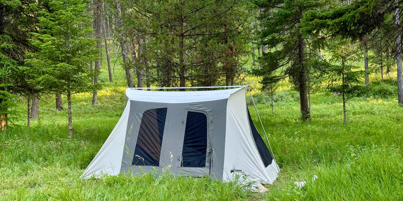 Camper submitted image from Bird Track Springs Campground