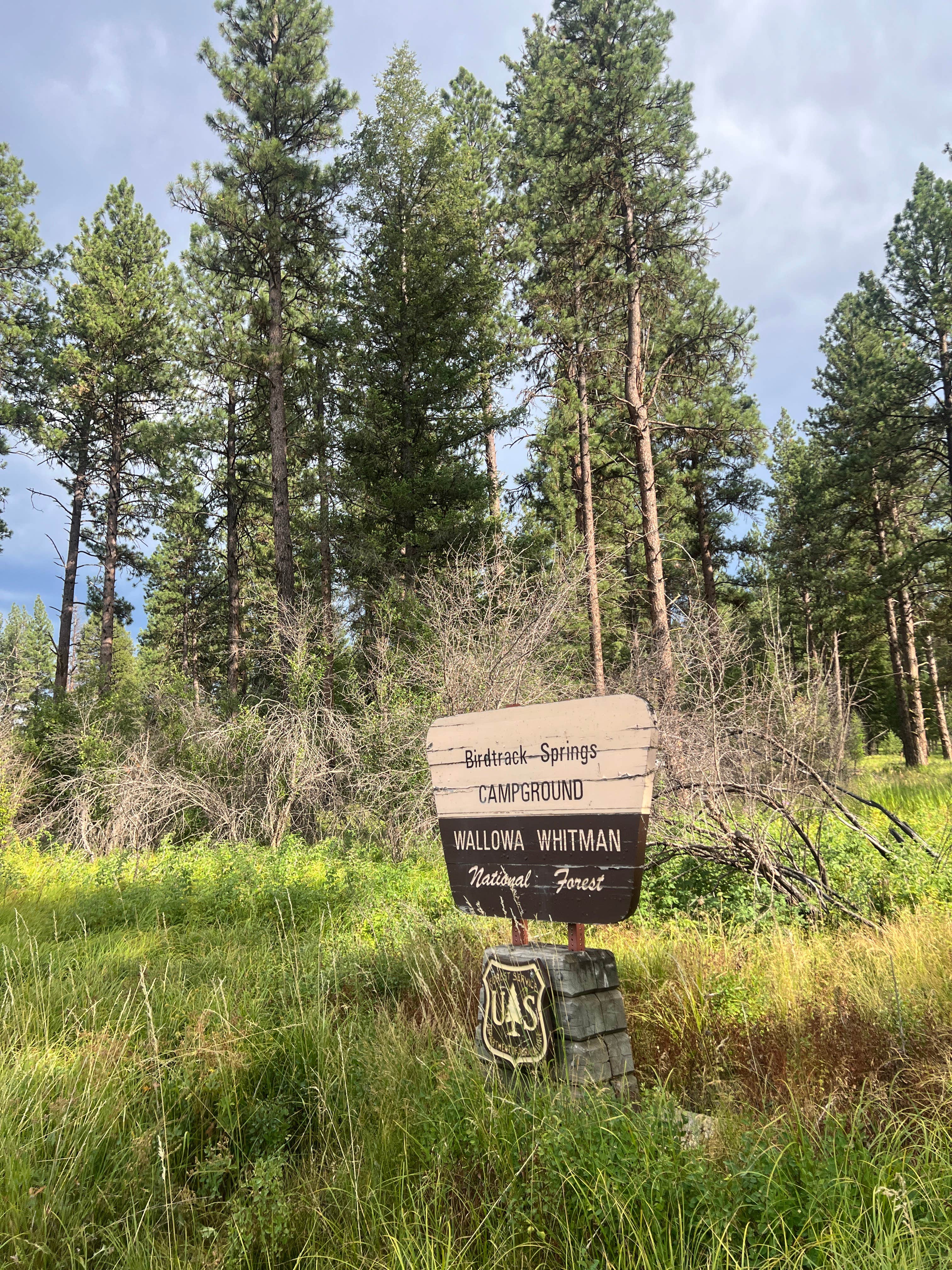 Camper submitted image from Bird Track Springs Campground - 2