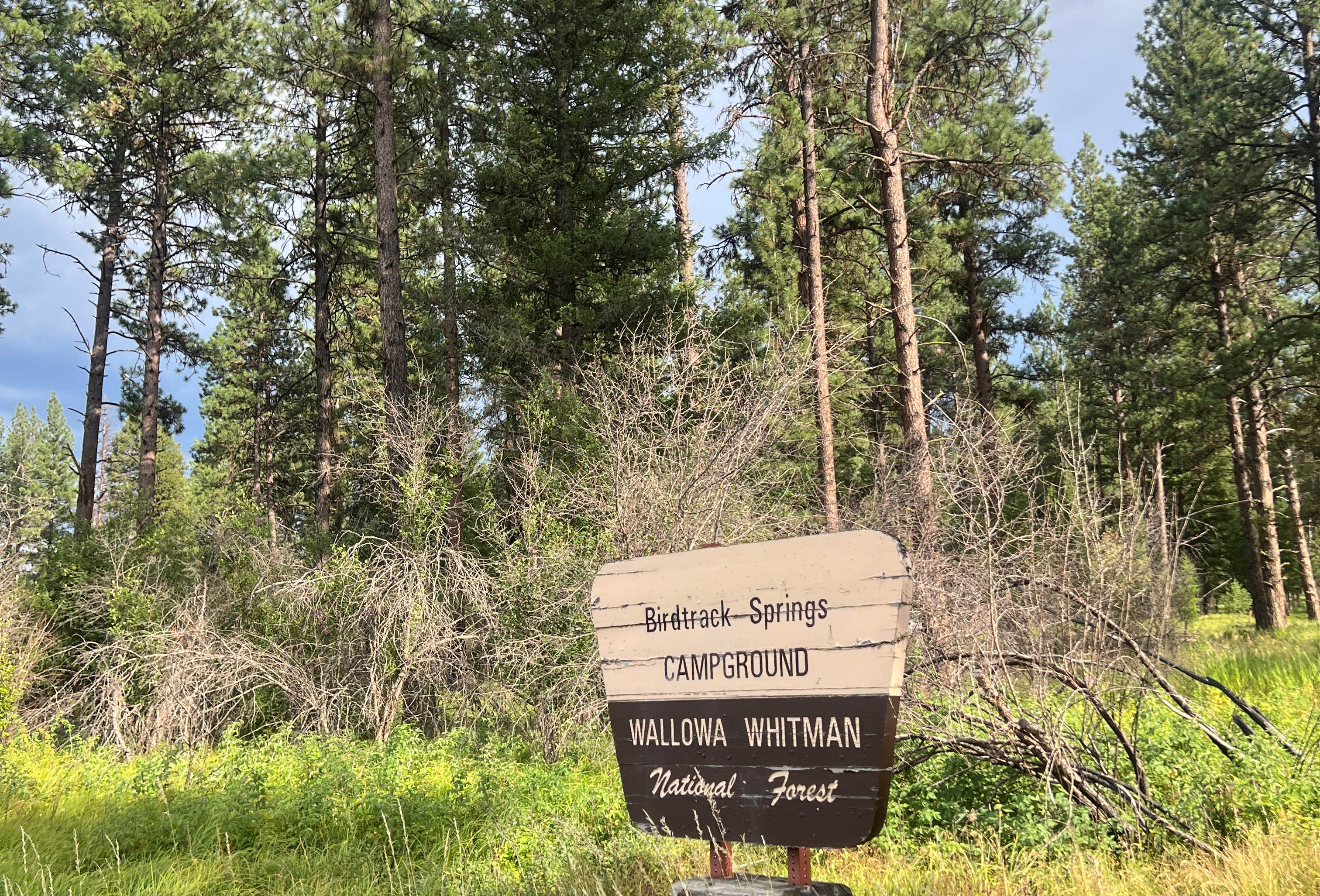 Spring Campground Map Oregon Bird Track Springs Campground | La Grande, Oregon
