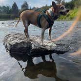 Review photo of Bird Track Springs Campground by Paige P., August 1, 2025
