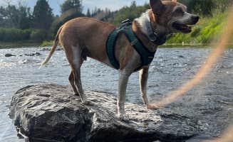Paige P.'s photo of camping with pets at Bird Track Springs Campground near La Grande, OR