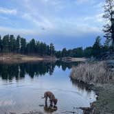 Review photo of Bismarck Lake Campground by Kate A., April 26, 2025