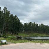 Review photo of Bismarck Lake Campground by Tom , July 3, 2026