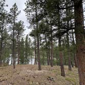 Review photo of Bismarck Lake Campground by Tom , July 3, 2026