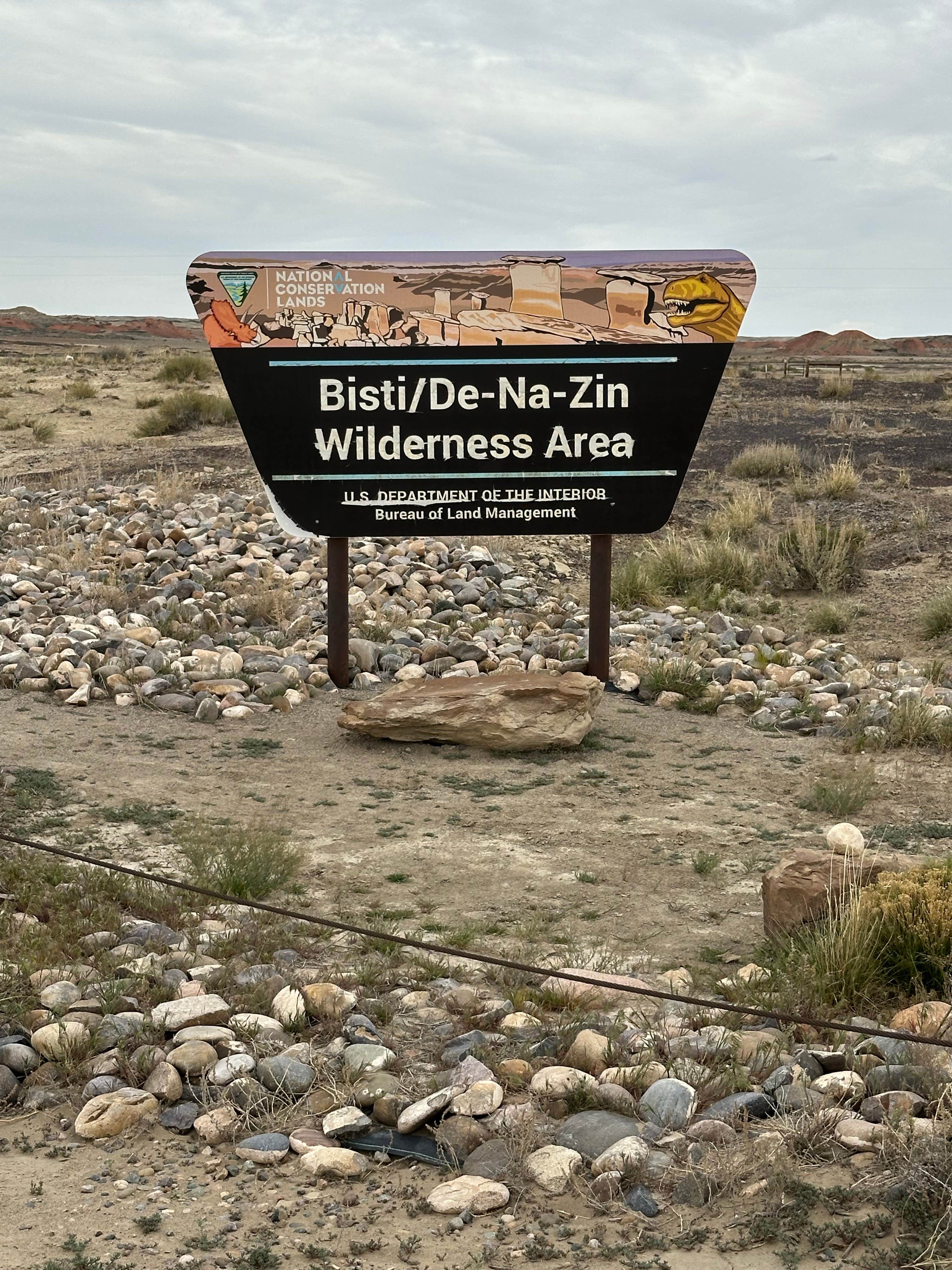 Camper-submitted photo at Bisti / De-Na-Zin Wilderness Area near Newcomb, NM