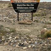 Review photo of Bisti / De-Na-Zin Wilderness Area by Beth D., April 23, 2026