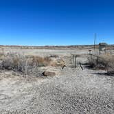 Review photo of Bisti/De-Na-Zin Wilderness | Dispersed Camping by Julie K., February 12, 2025