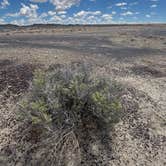 Review photo of Bisti/De-Na-Zin Wilderness | Dispersed Camping by Karla L., May 20, 2025
