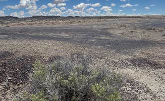 Karla L.'s photo of a dispersed camping area at Bisti/De-Na-Zin Wilderness | Dispersed Camping near Flora Vista, NM