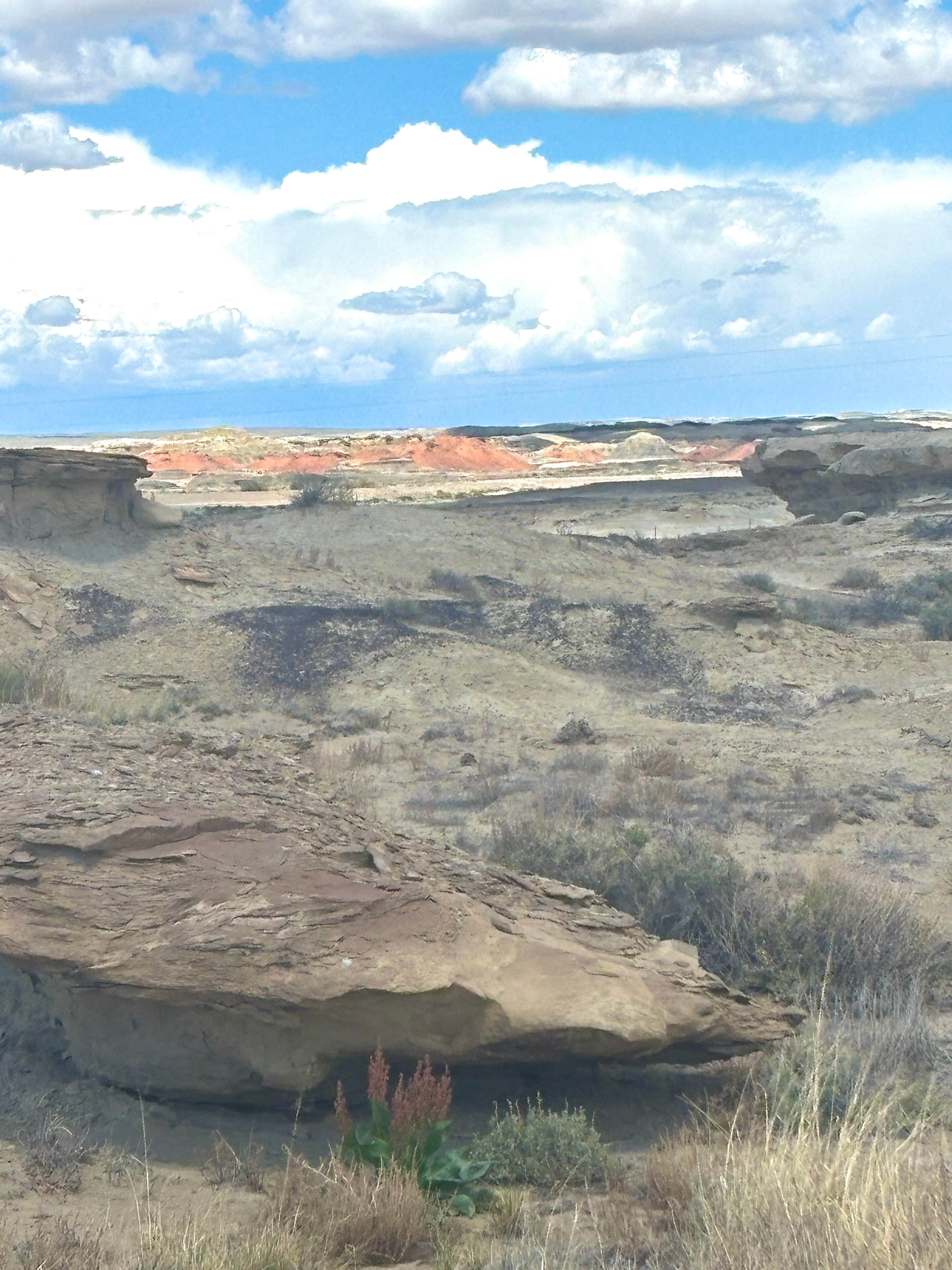 Camper-submitted photo at Bisti/De-Na-Zin Wilderness | Dispersed Camping near Nageezi, NM