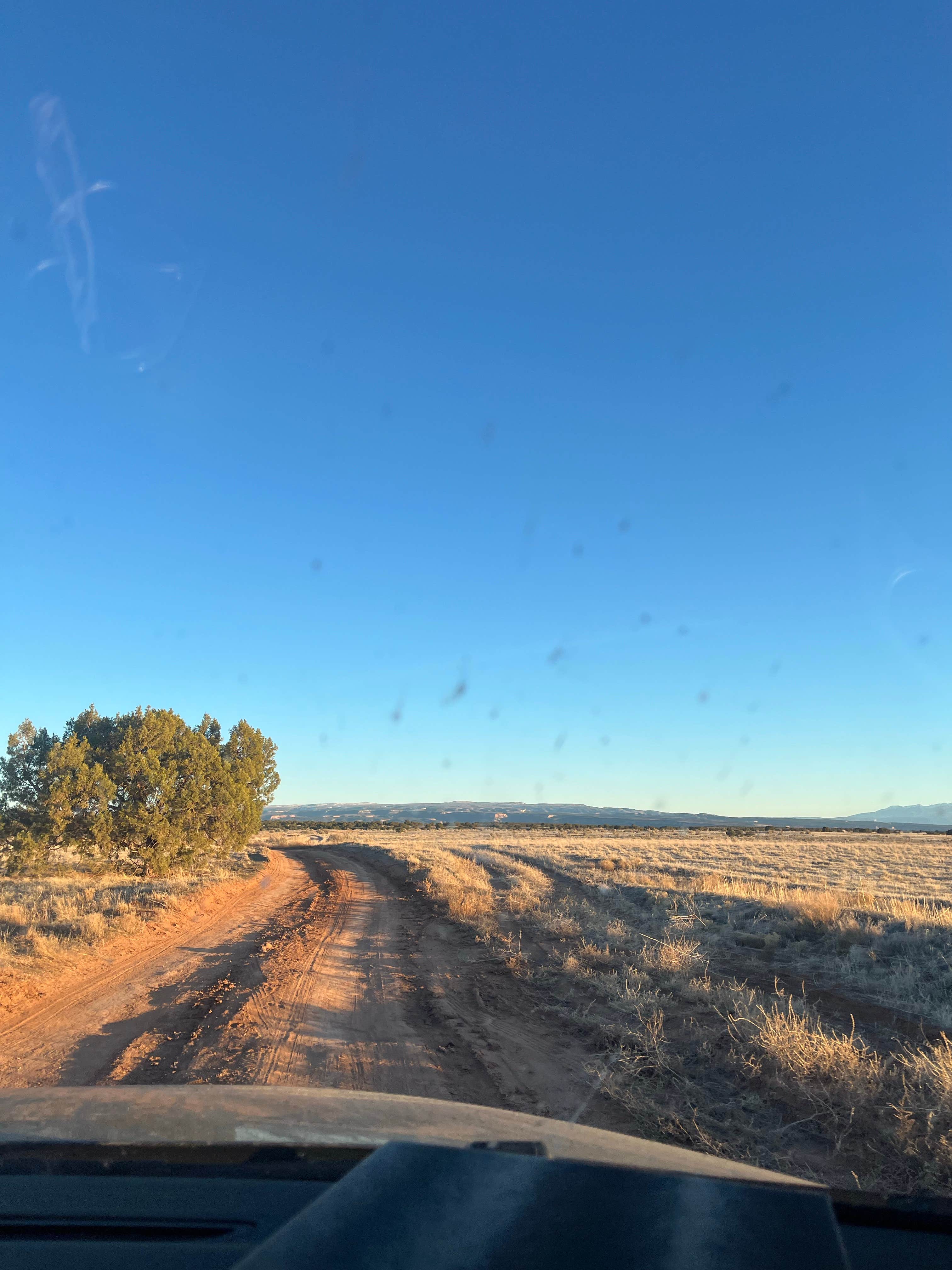 Katherine M.'s photo of a dispersed camping area at Bitter Creek Overlook Camping Area near Fruita, CO