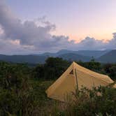 Review photo of Black Balsam Knob - Dispersed Camping by Celine T., August 15, 2024