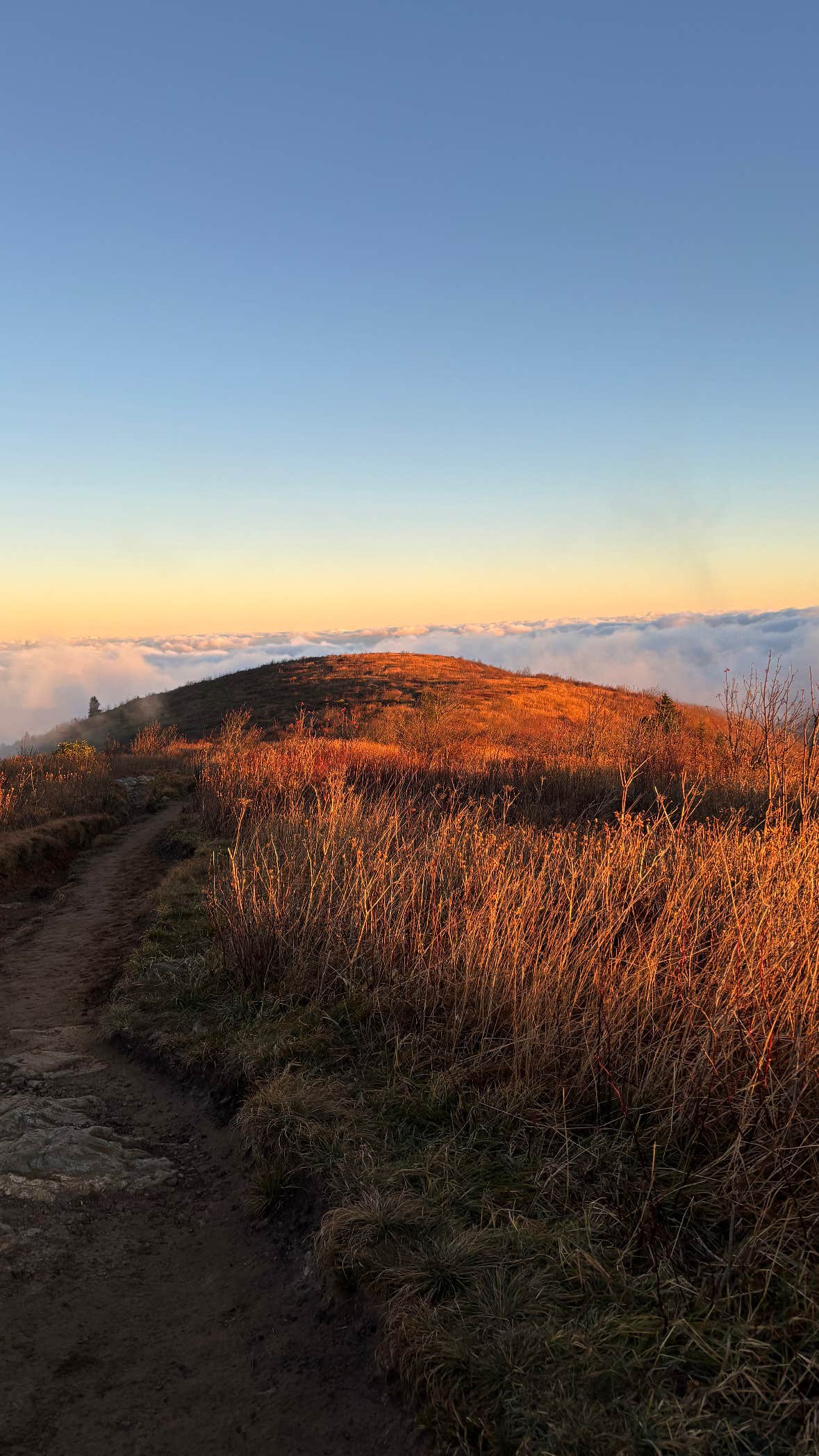 Heidi H.'s photo of a dispersed camping area at Black Balsam Knob - Dispersed Camping near Glendale, SC