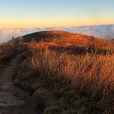 Review photo of Black Balsam Knob - Dispersed Camping by Heidi H., November 7, 2025