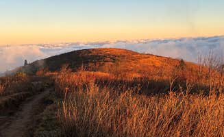 Heidi H.'s photo of a dispersed camping area at Black Balsam Knob - Dispersed Camping near Glendale, SC